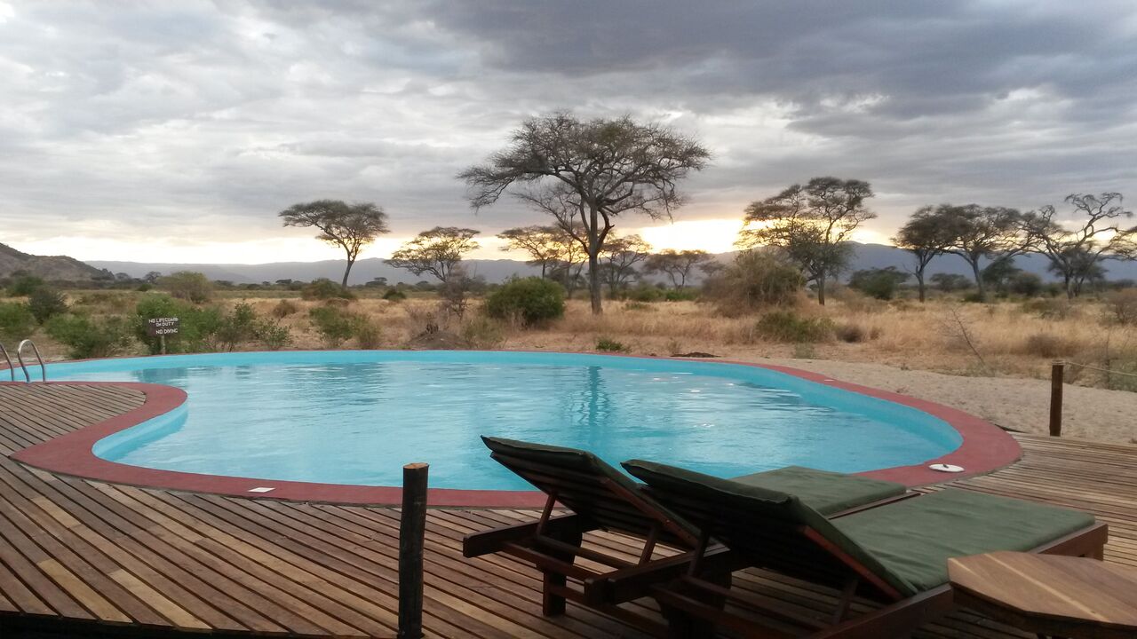 Tarangire simba lodge 1
