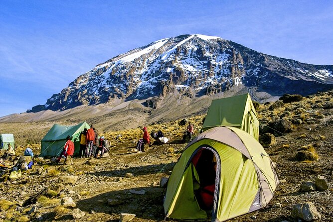 1_8-day-mount-kilimanjaro-trekking-lemosho-route