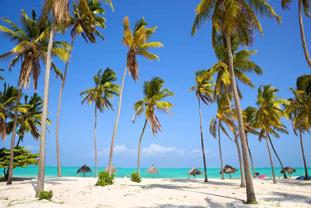 beach_in_zanzibar_kendwa_beach